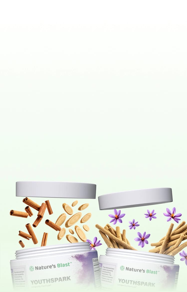 Longevity Supplements