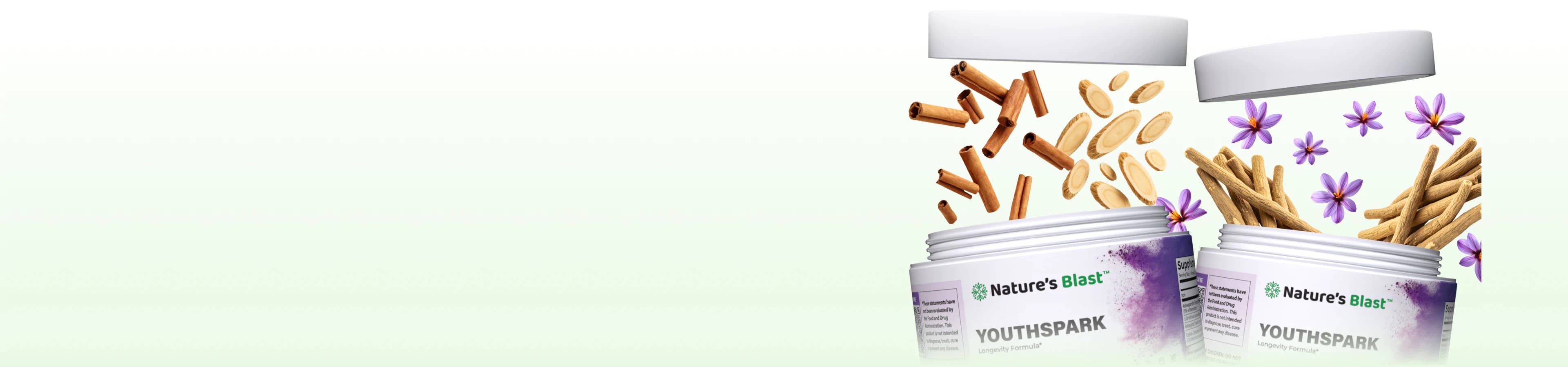 Longevity Supplements