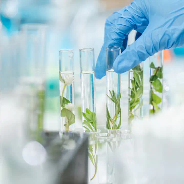 State-of-the-Art Manufacturing