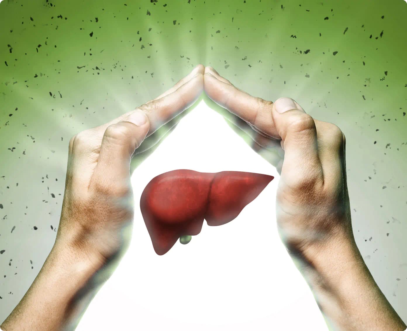 Hands forming shield around glowing liver, symbolizing liver protection