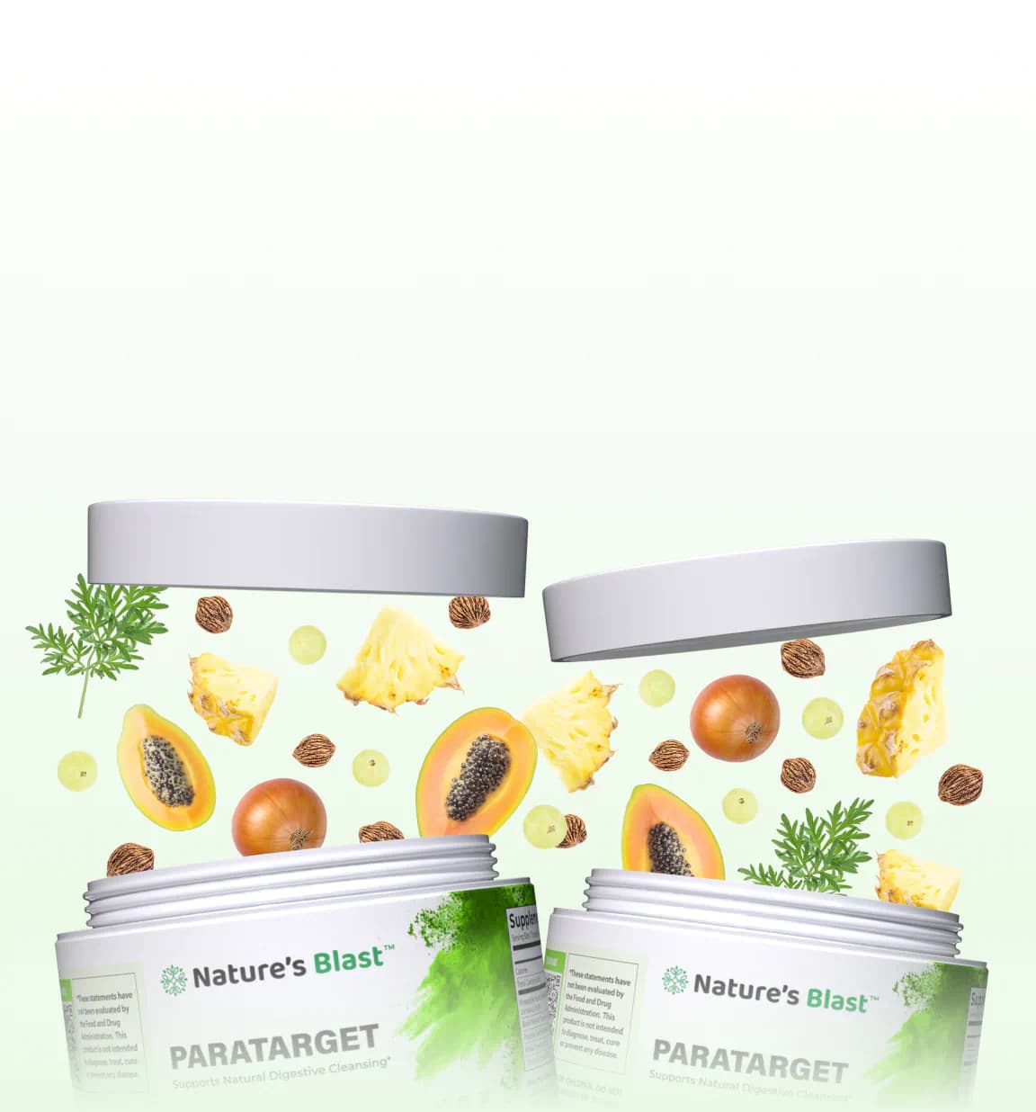 Parasite Detox Supplements