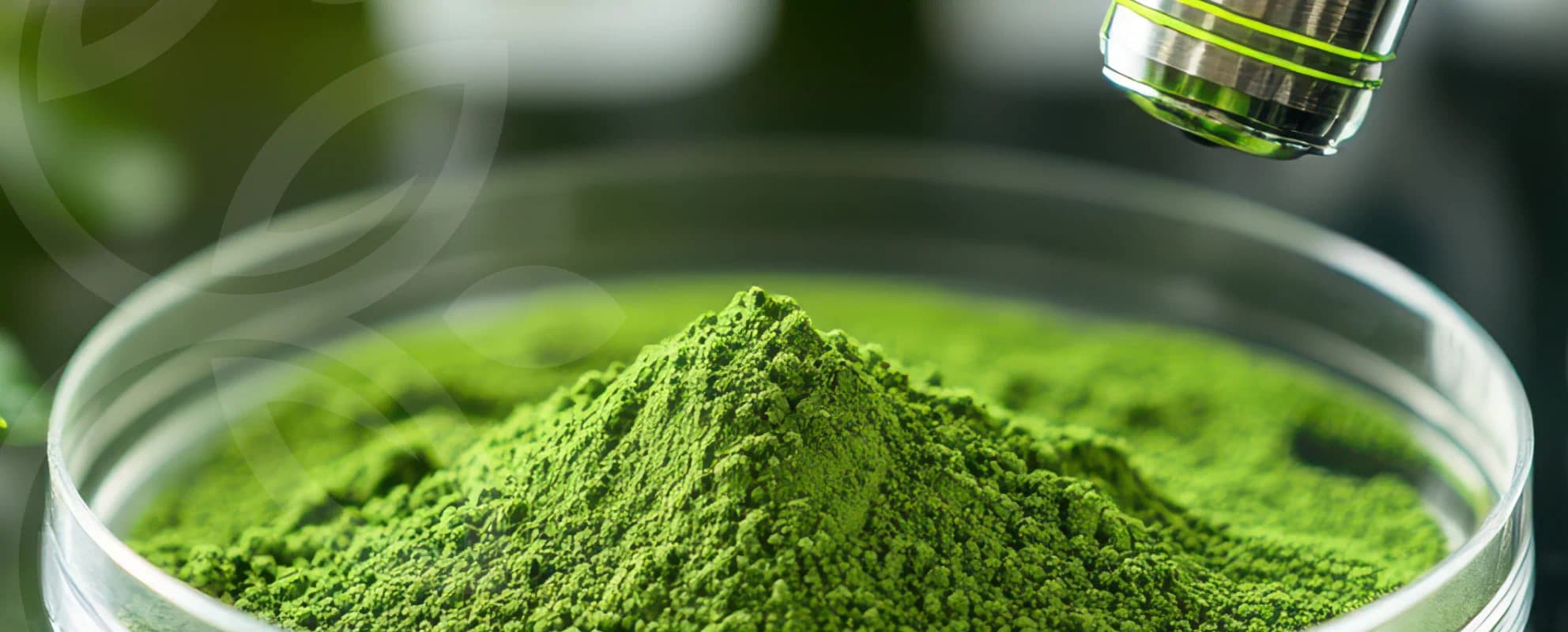 mature couple walking