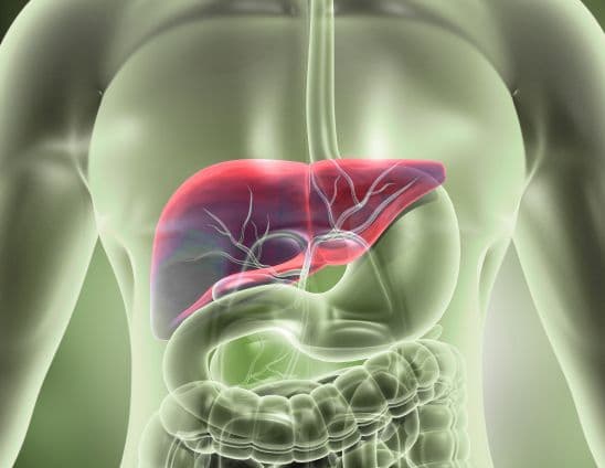 Liver 360 illustration